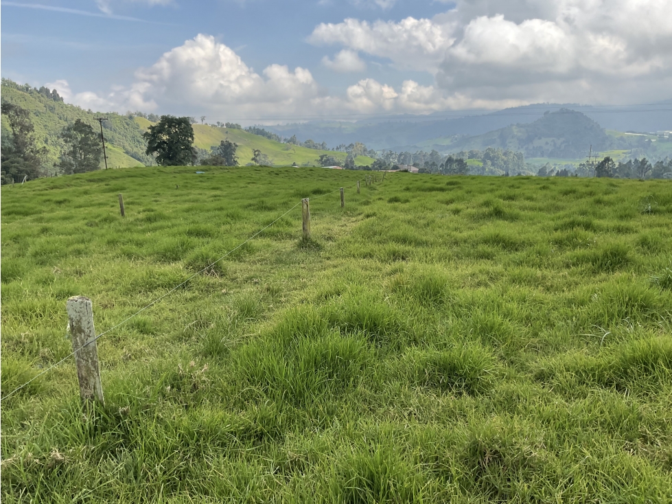 Venta de lote por el sector de termales del Otoño - 1