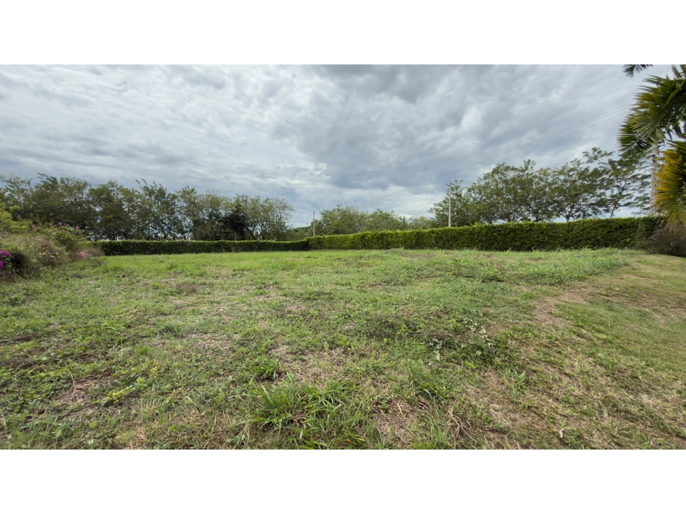Vendo lote en Cerritos