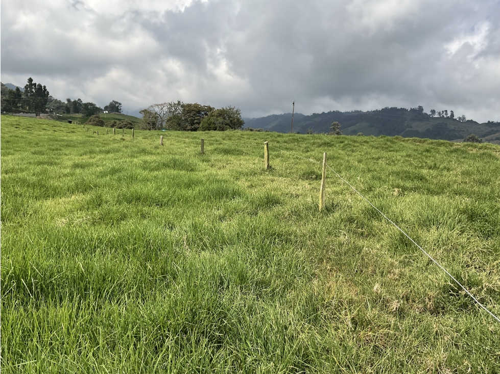 Venta de lote por el sector de termales del Otoño - 2