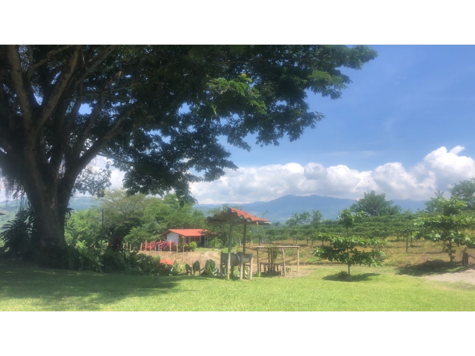 Vendo casa campestre kilometro 41 — foto 2