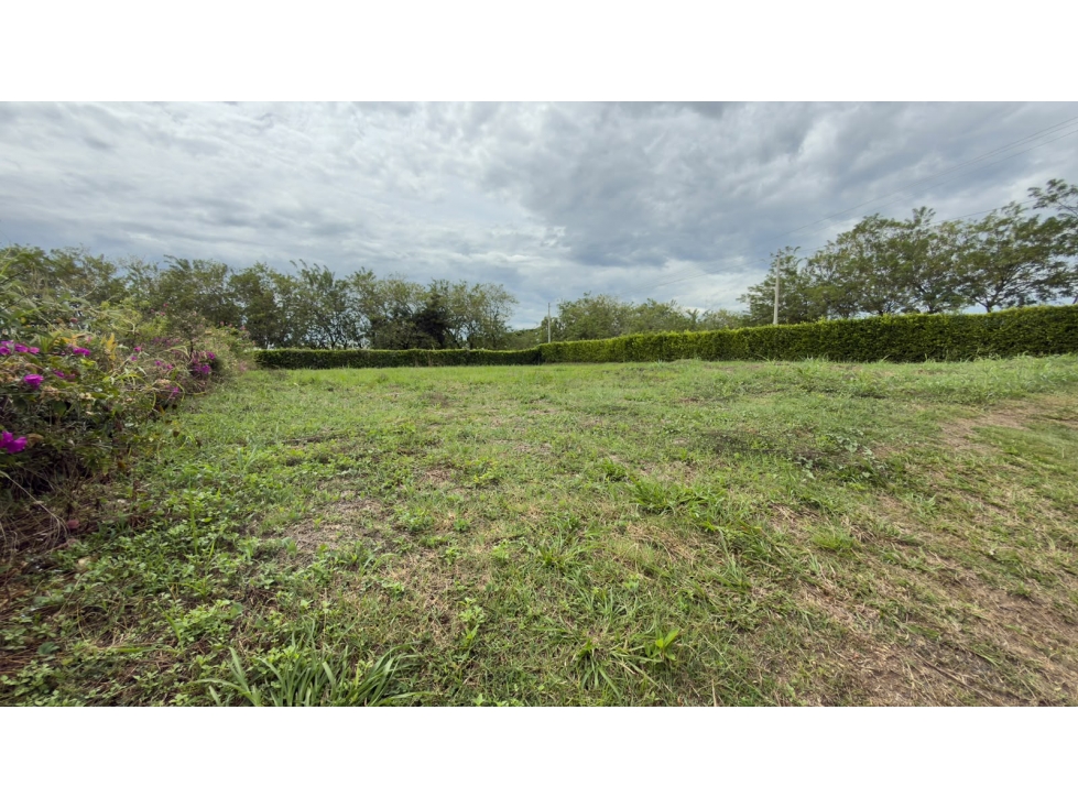 Vendo lote en Cerritos — foto 2
