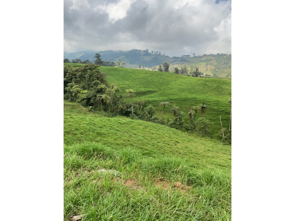 Venta de lote por el sector de termales del Otoño - 3