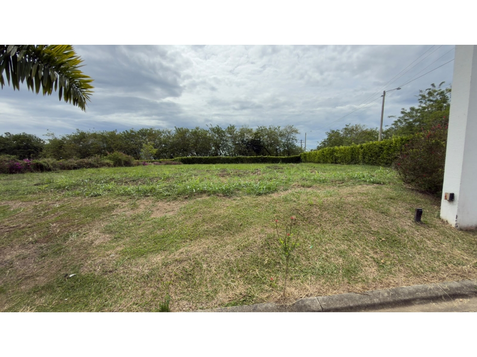 Vendo lote en Cerritos — foto 3