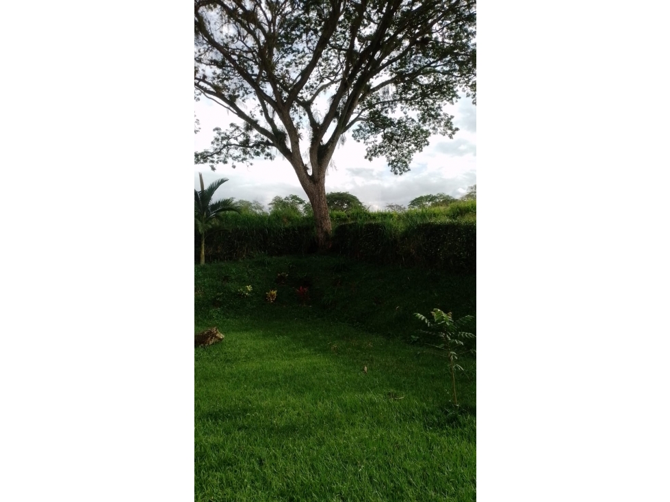 Vendo casa campestre en el sector del Kilometro 46 vía Medellín — foto 4