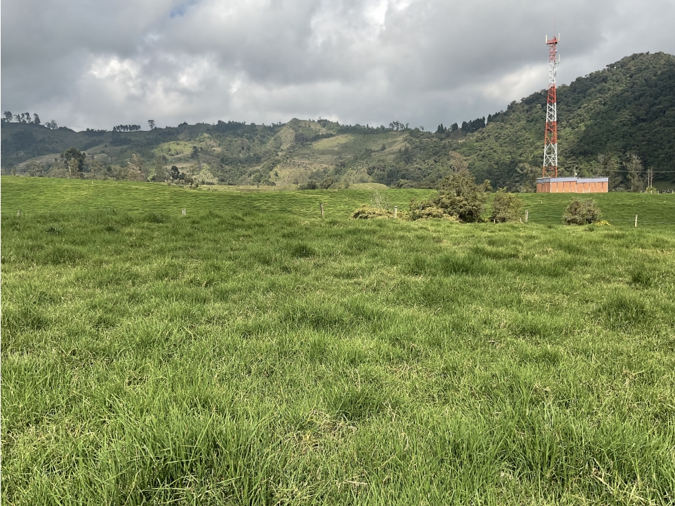 Venta de lote por el sector de termales del Otoño - 4