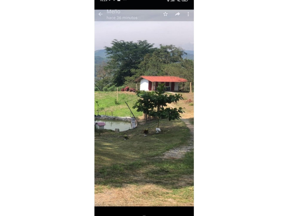 Vendo casa campestre kilometro 41 — foto 4