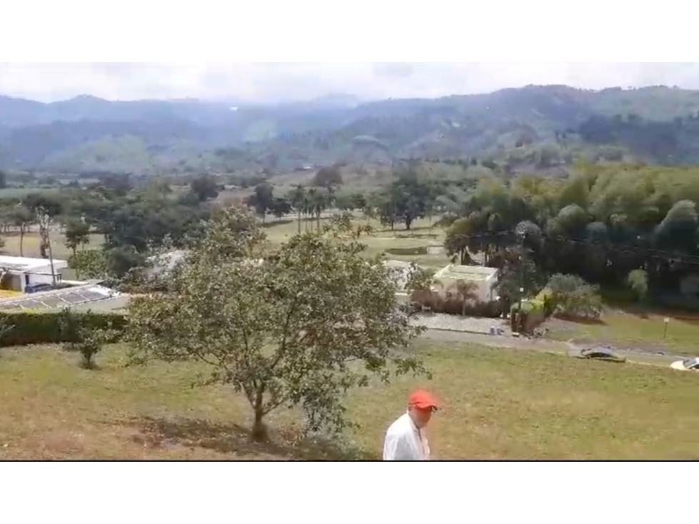 Vendo lote en el sector de Chinchina - 4