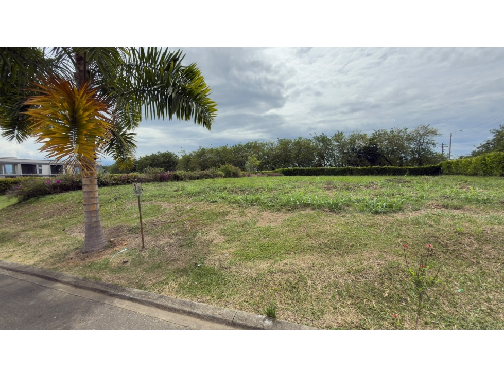 Vendo lote en Cerritos — foto 4