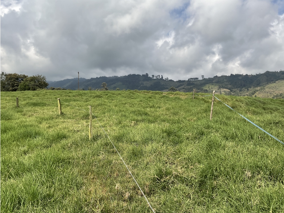 Venta de lote por el sector de termales del Otoño - 5