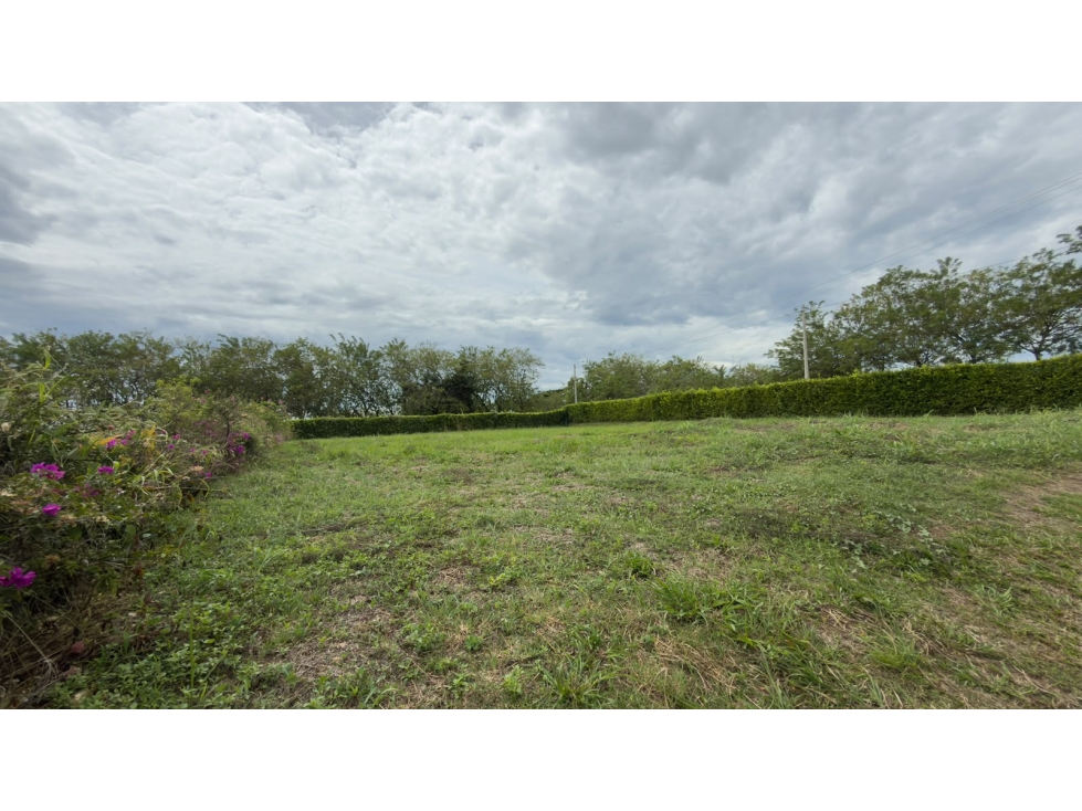 Vendo lote en Cerritos — foto 5