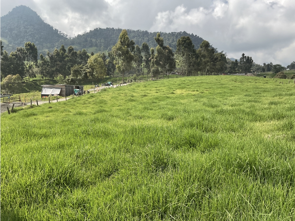 Venta de lote por el sector de termales del Otoño - 6
