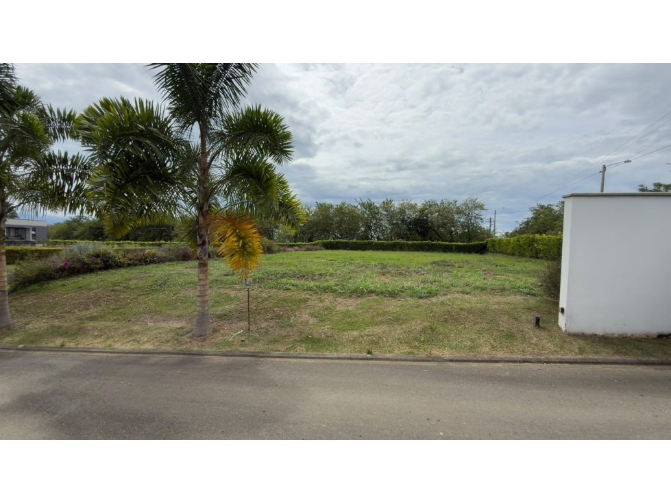 Vendo lote en Cerritos — foto 6