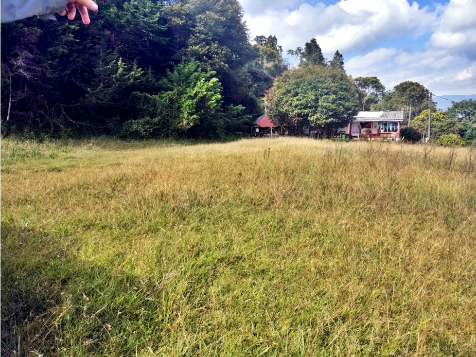 Venta lote en Llanogrande vereda Guayabito con excelente vista — foto 2