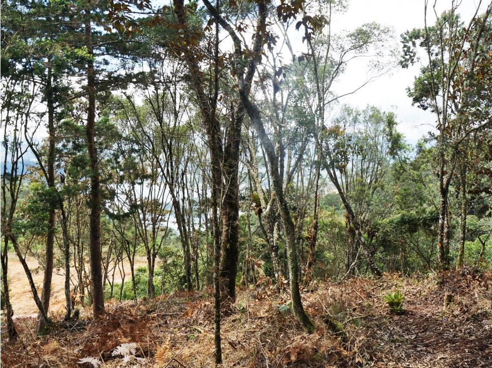 Venta | Lote con vista a la represa en El Retiro y bosque nativo — foto 4