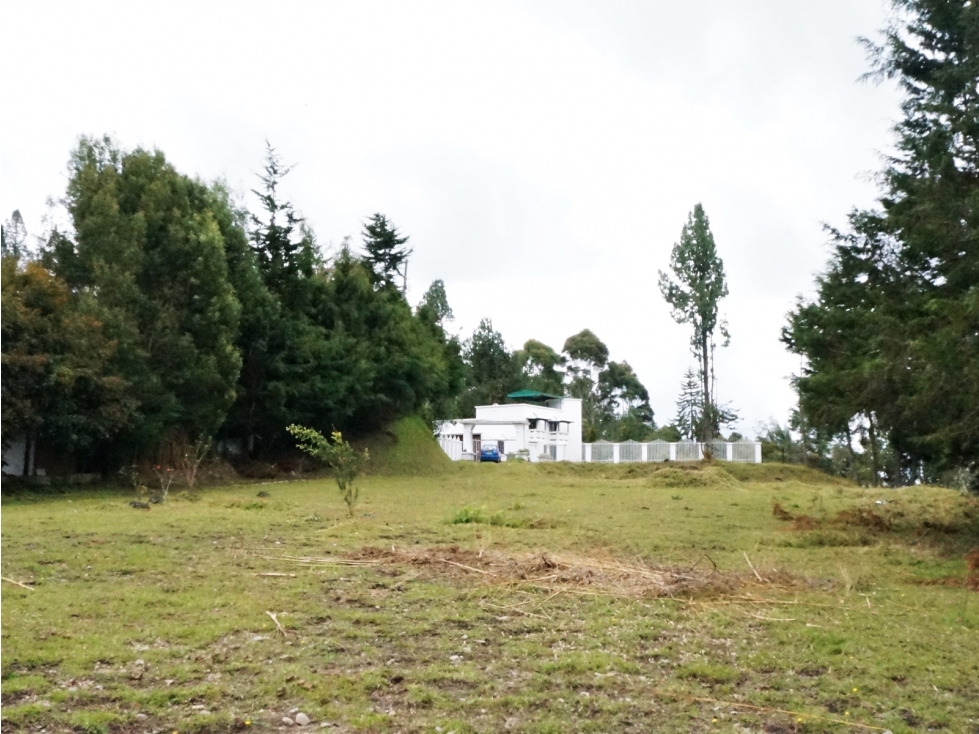 Venta lote en El Escobero con 11.300 m² y uso comercial — foto 4