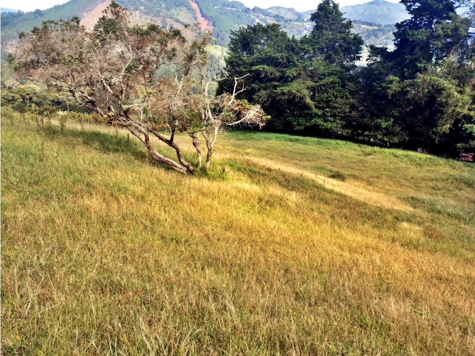 Venta lote en Llanogrande vereda Guayabito con excelente vista — foto 5
