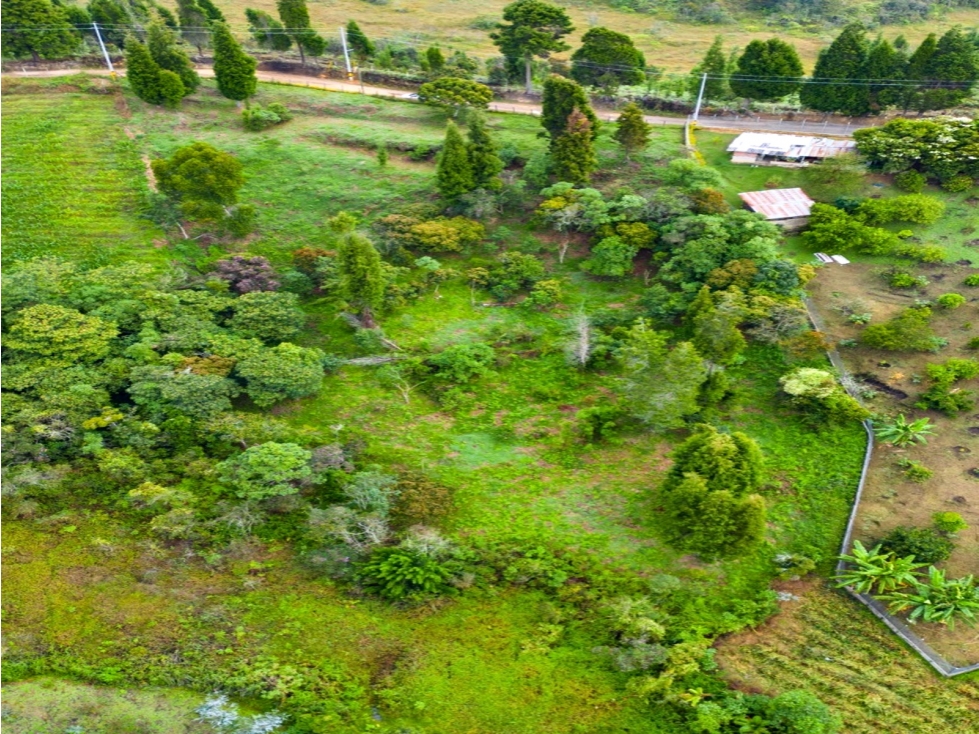 Lote en venta Hojas Anchas, Rionegro 4.600 m², $700 millones — foto 6