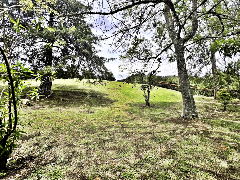 Venta lote vía San Antonio-La Ceja en parcelación De 3.734mt — foto 4