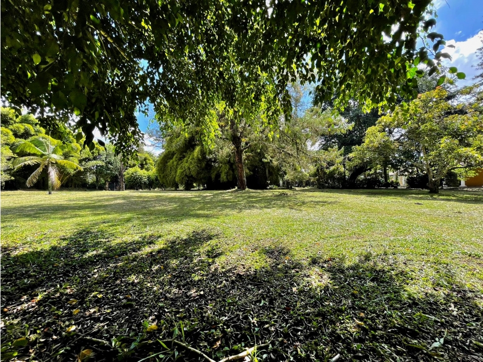 Venta lote en Llanogrande uso mixto sobre vía principal
