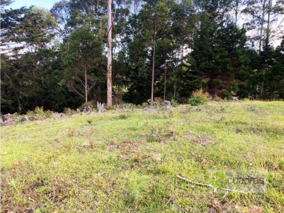 Venta lote en Sajonia cerca al aeropuerto en conjunto de 4 lotes