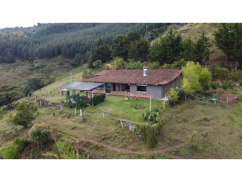 Venta Casa campestre en El Retiro, 27.000 m² — foto 3