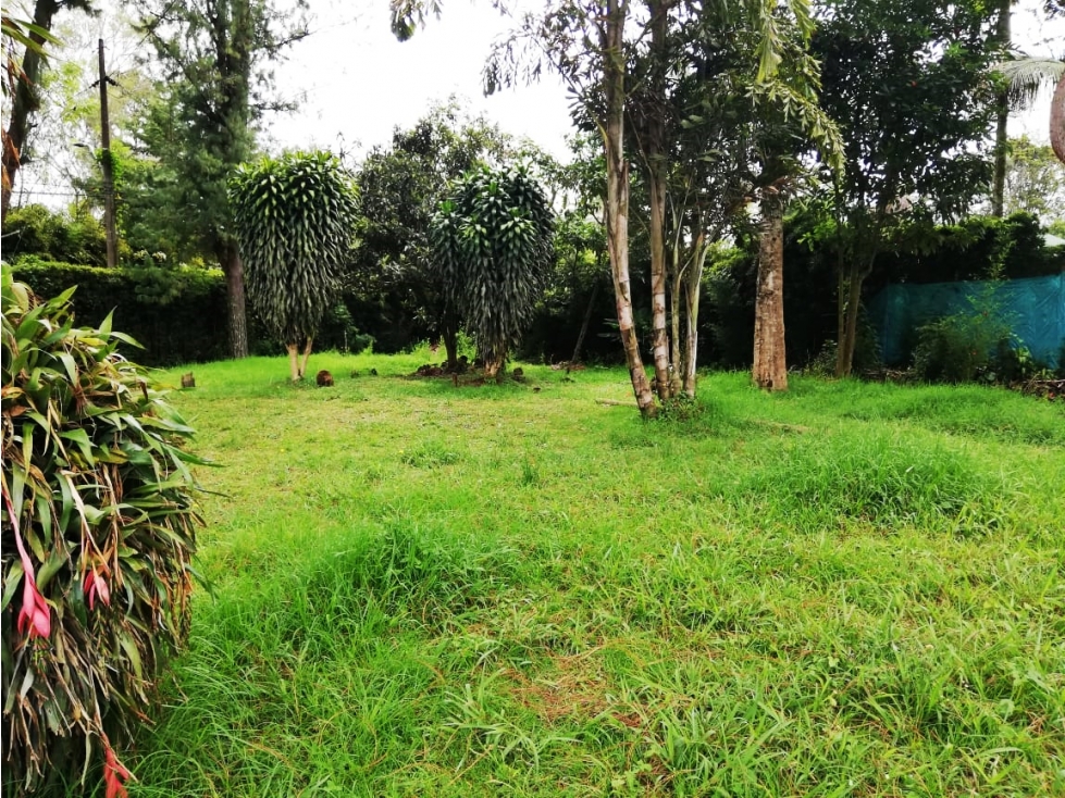 Venta lote en Llanogrande con topografía plana y 3 viviendas — foto 6