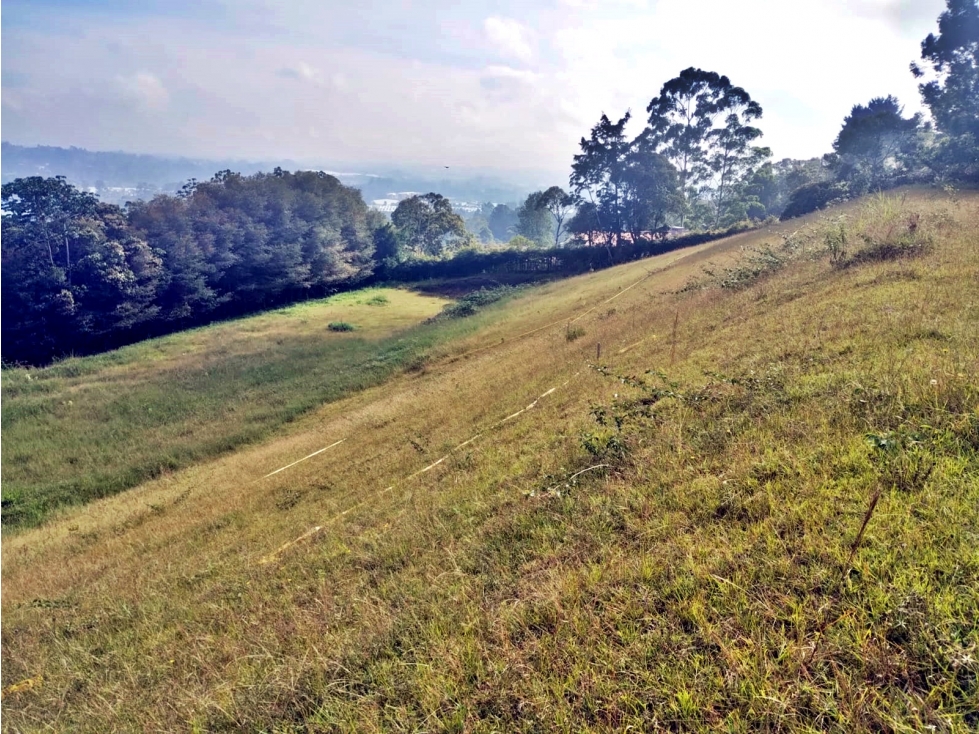 Venta lote en Llanogrande vereda Guayabito con excelente vista