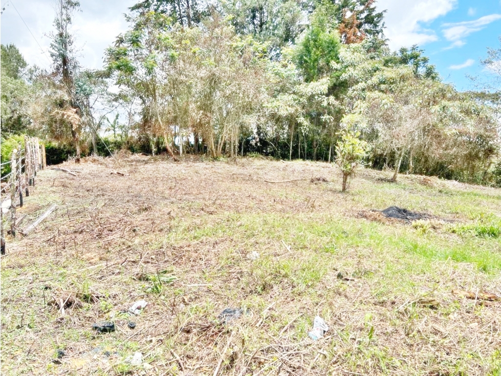 LOTE 7.950 M² EN VEREDA LOS PINOS, RIONEGRO