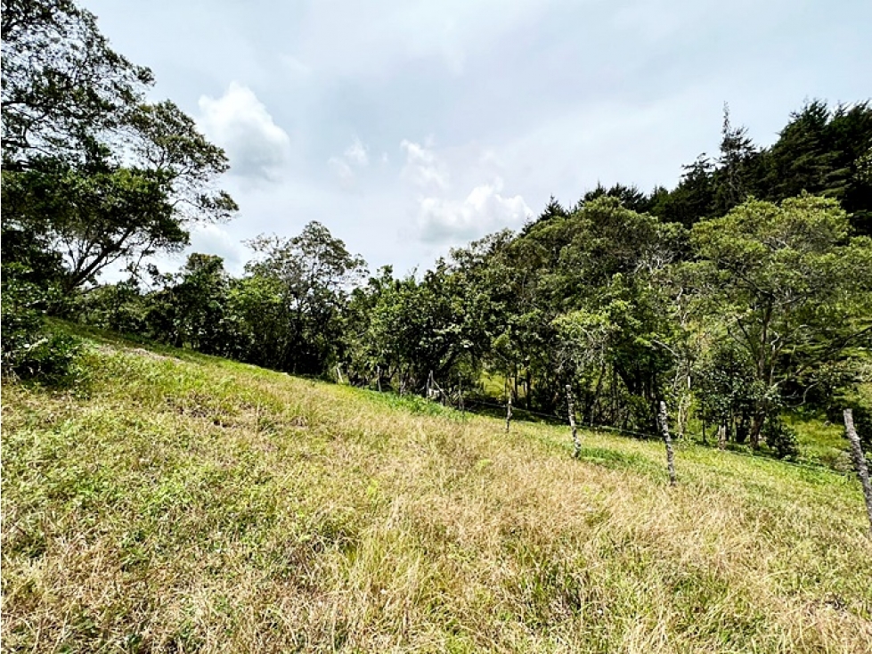 LOTE EN GUARNE