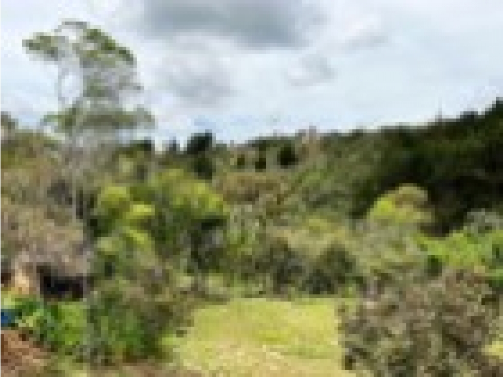 CASA CAMPESTRE EN GUARNE — foto 3
