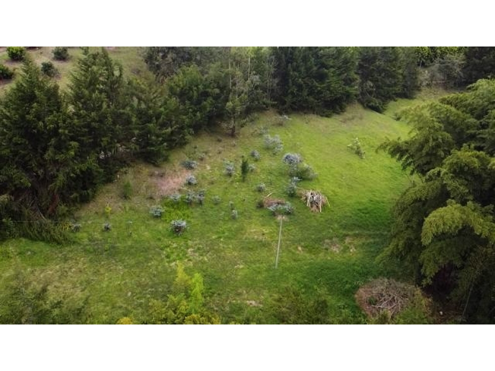VENTA DE LOTE VIA LLANOGRANDE - LA CEJA DE 9.507