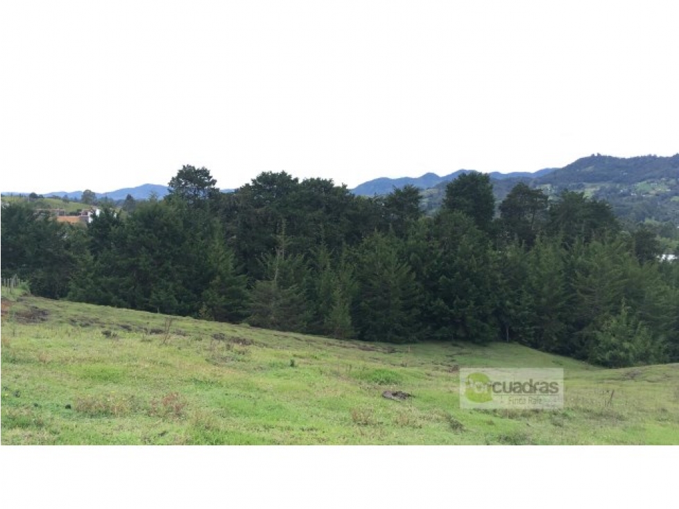 Venta lote en vía Llanogrande - La Ceja de 50.000 m²