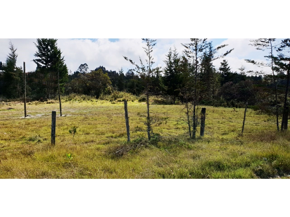Venta lote en La Mosquita Rionegro con uso comercial e industrial