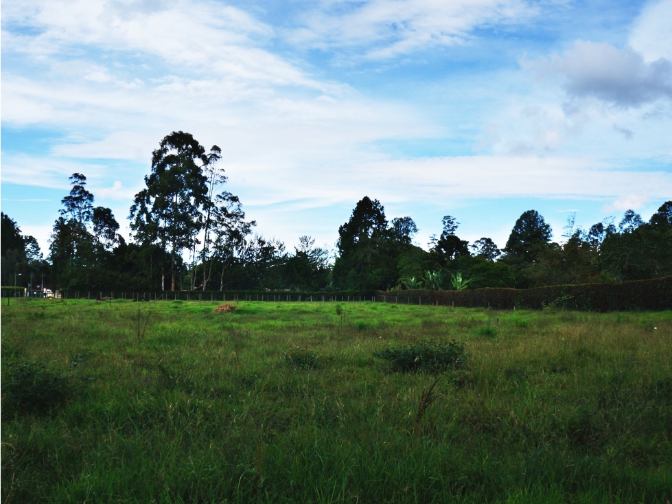 Venta lote en Llanogrande Rionegro de 7.500 m² cerca zona urbana