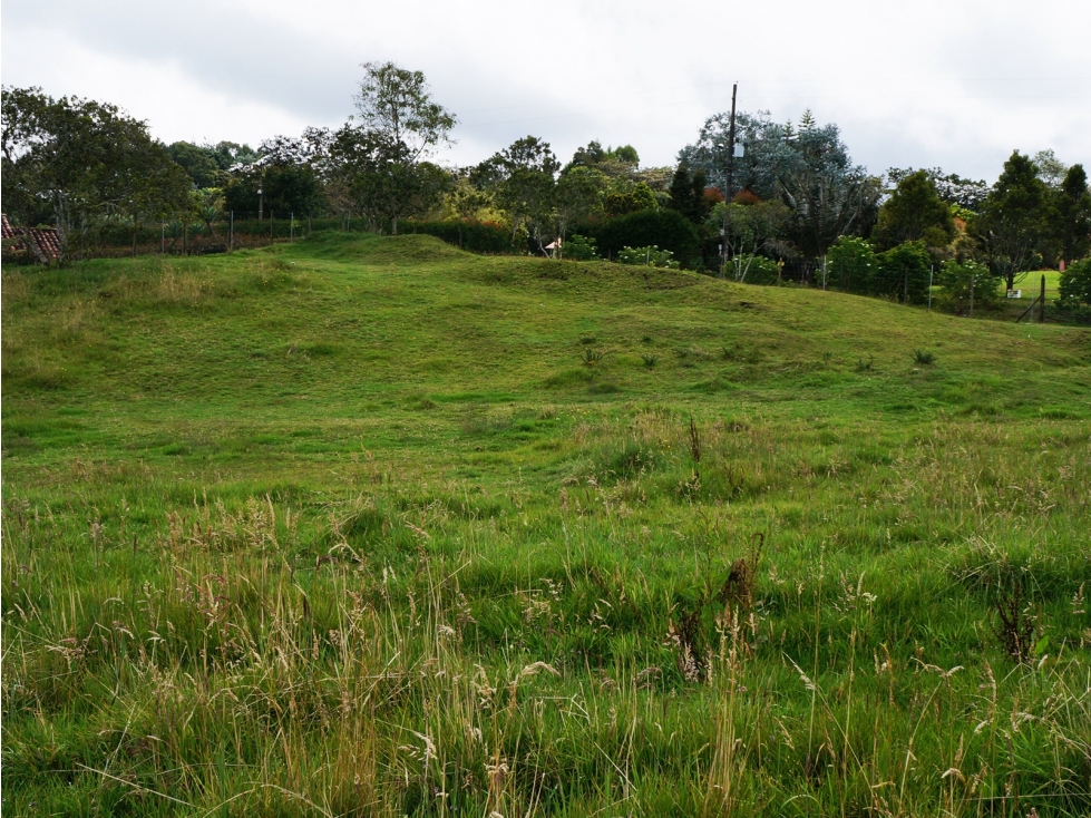 LOTE INDEPENDIENTE UBICADO EN LA VARIANTE DE PALMAS DE 3.500 M2