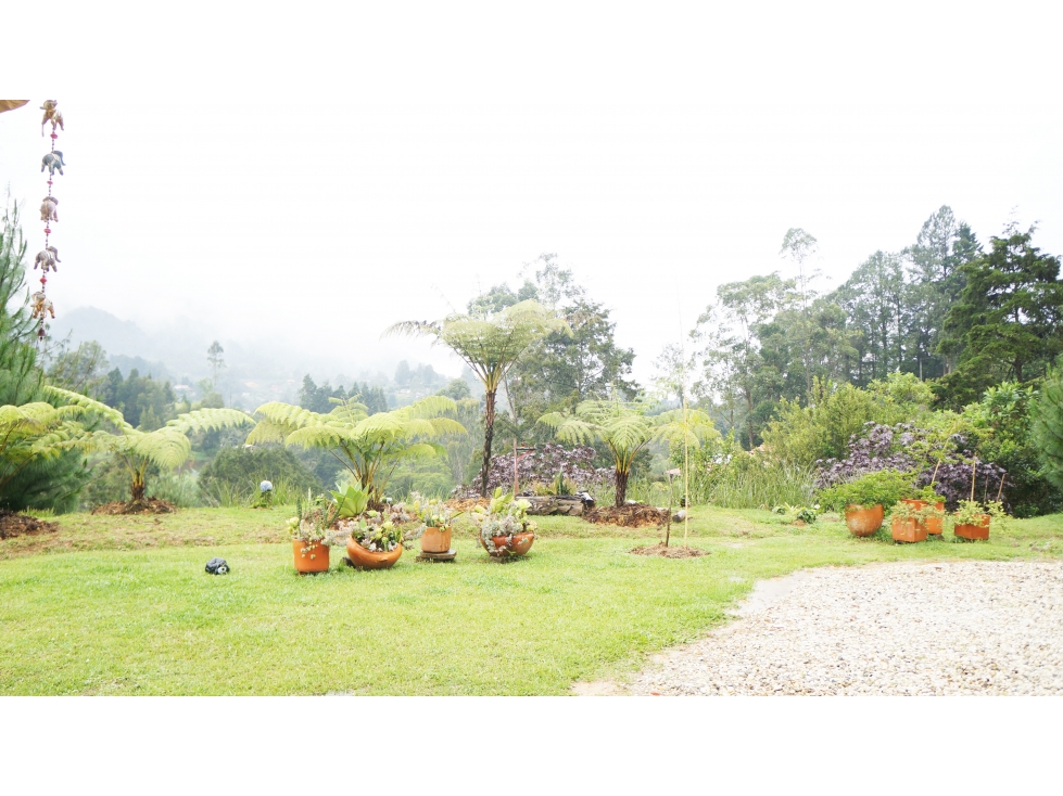 LOTE EN EL TABLAZO DE 4.000M2