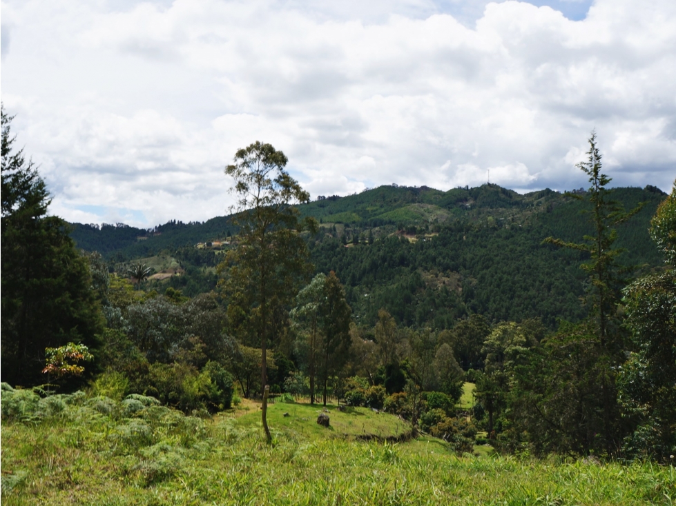 Venta lote vía Llanogrande - Don Diego con 4 subdivisiones