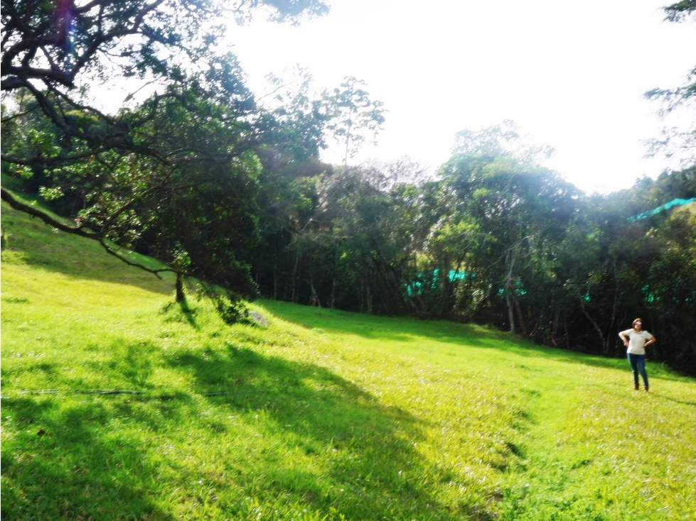 LOTE EN VENTA LAS PALMAS DE 3.600M2