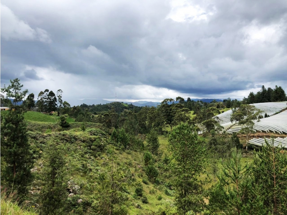 Lote campestre en venta en Pantanillo 6.200 m² con explanaciones