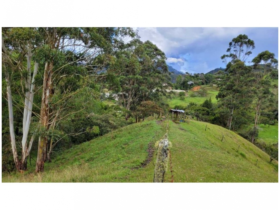 Venta finca en Higuerón Rionegro con 3 matrículas y vista 360 — foto 3