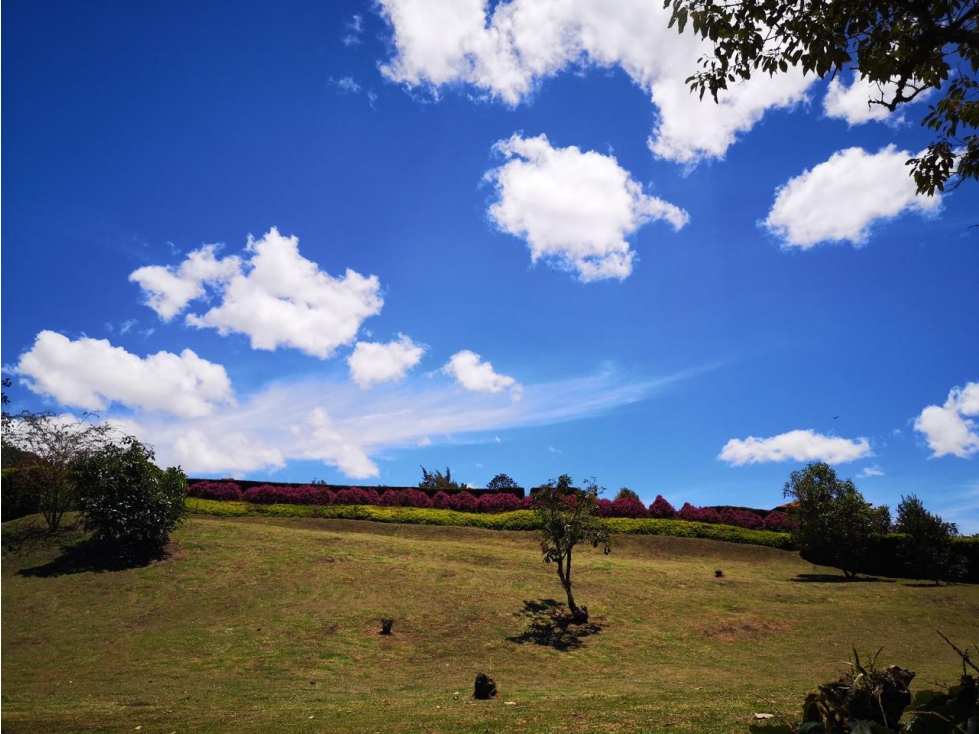 Venta lote vía San Antonio-La Ceja en parcelación, 3.000 m² — foto 2