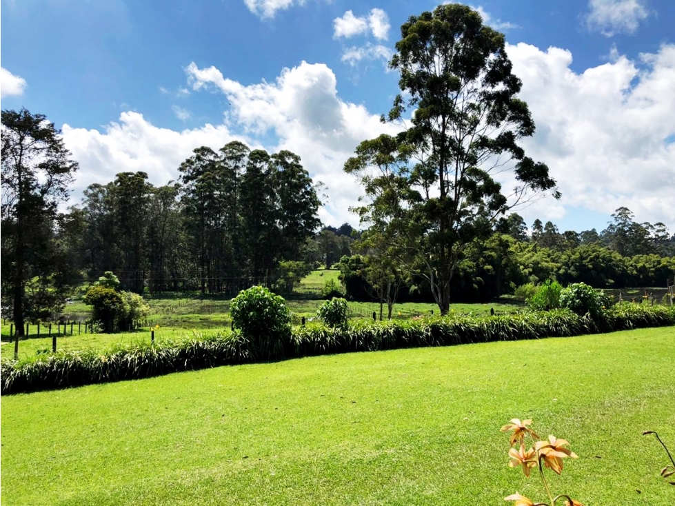 Venta casa campestre con amplio lote y área de protección natural — foto 2