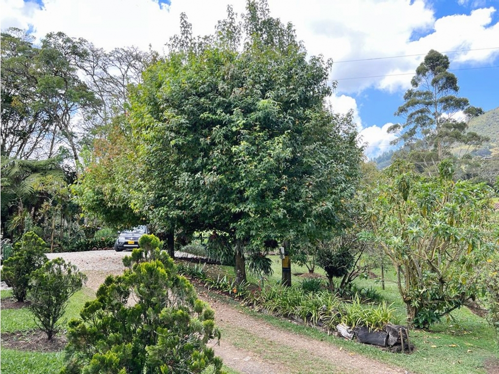 Venta finca en doble calzada con agua propia y establo