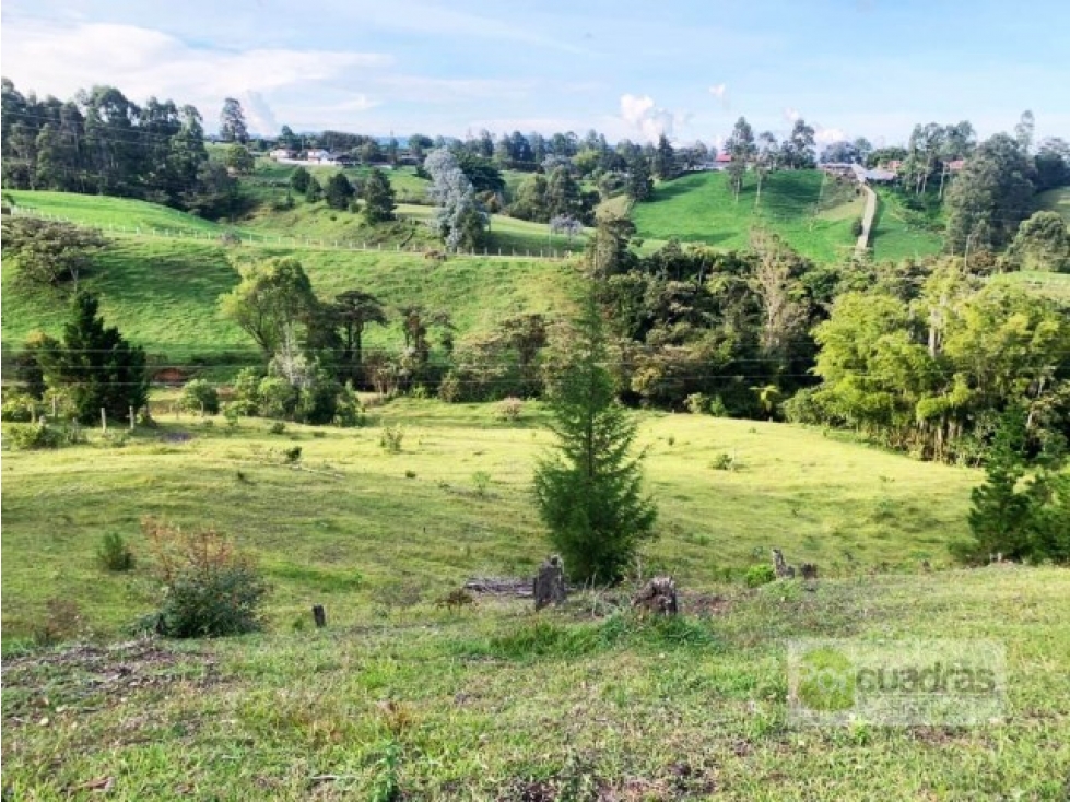 Venta lote en Sajonia cerca al aeropuerto en conjunto de 4 lotes — foto 2