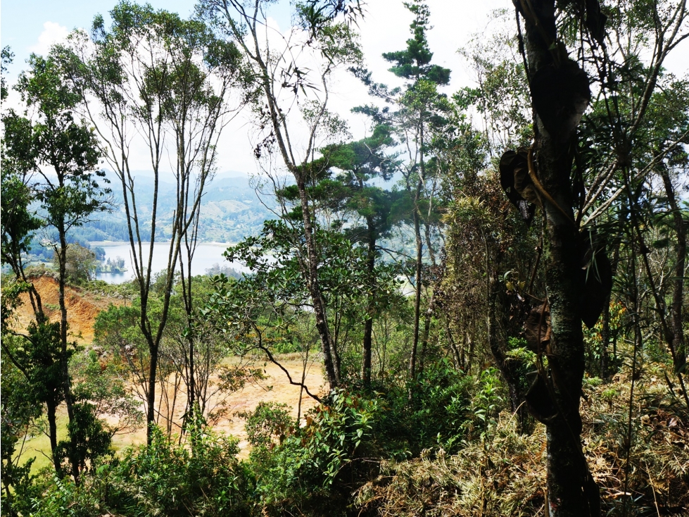Venta | Lote con vista a la represa en El Retiro y bosque nativo — foto 6