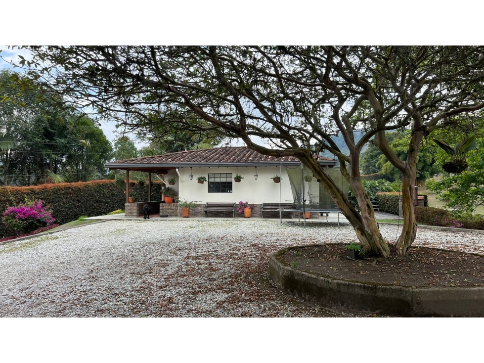 Casa finca con 10.900 m2 cerca al aeropuerto Jose Maria cordoba — foto 2