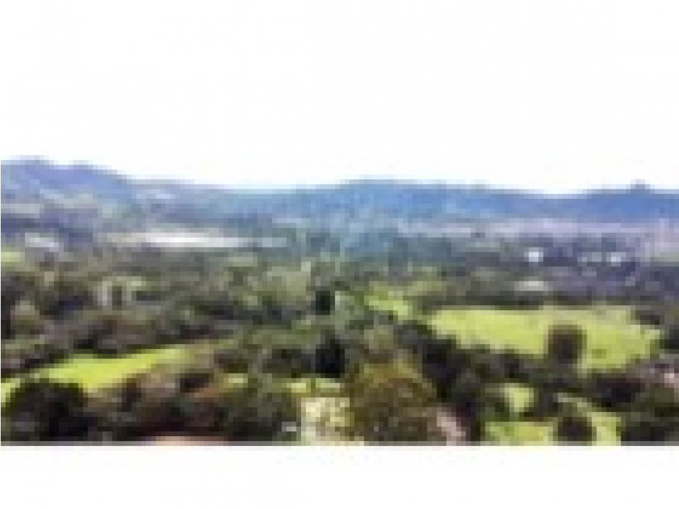 Venta lote en La Ceja de 5.000 m² con vista panorámica — foto 3