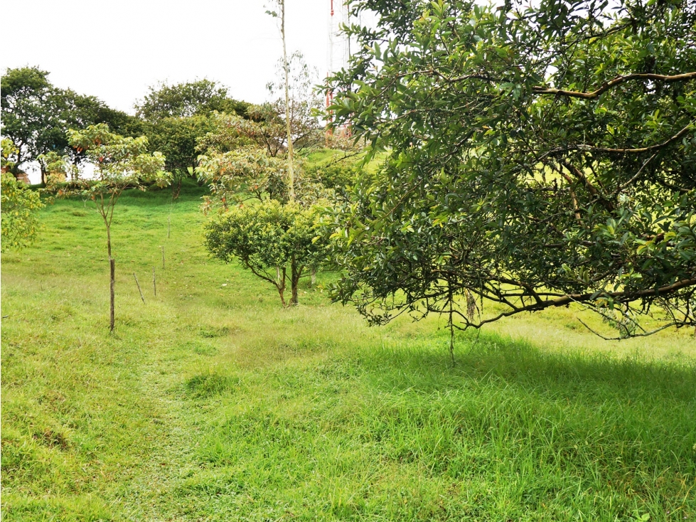 Venta lote en Cabeceras Llanogrande con opción de subdivisión