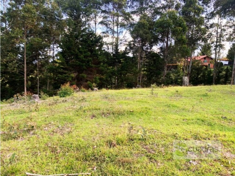 Venta lote en Sajonia cerca al aeropuerto en conjunto de 4 lotes — foto 3