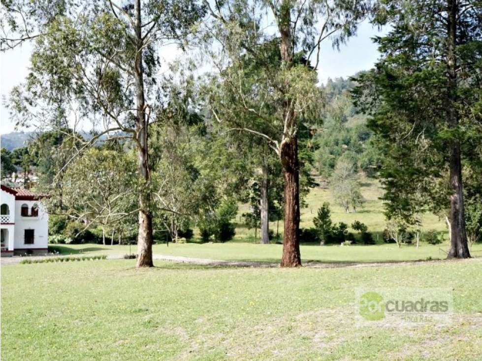 Venta Casa campestre en Las Palmas con 57.840 m² y 2 casas — foto 4